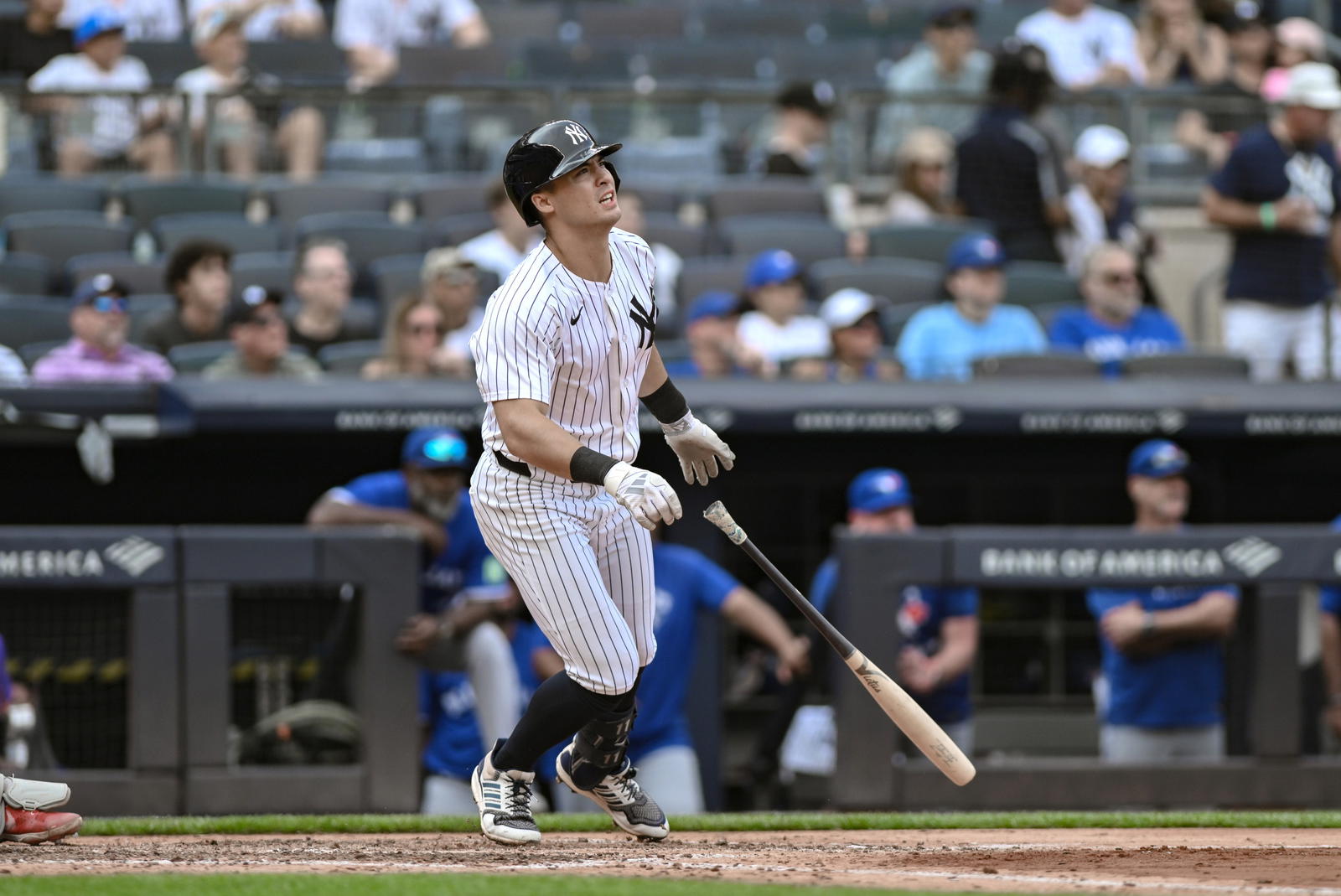 New York Yankees shortstop Anthony Volpe. Credit: John Jones-Imagn Images.