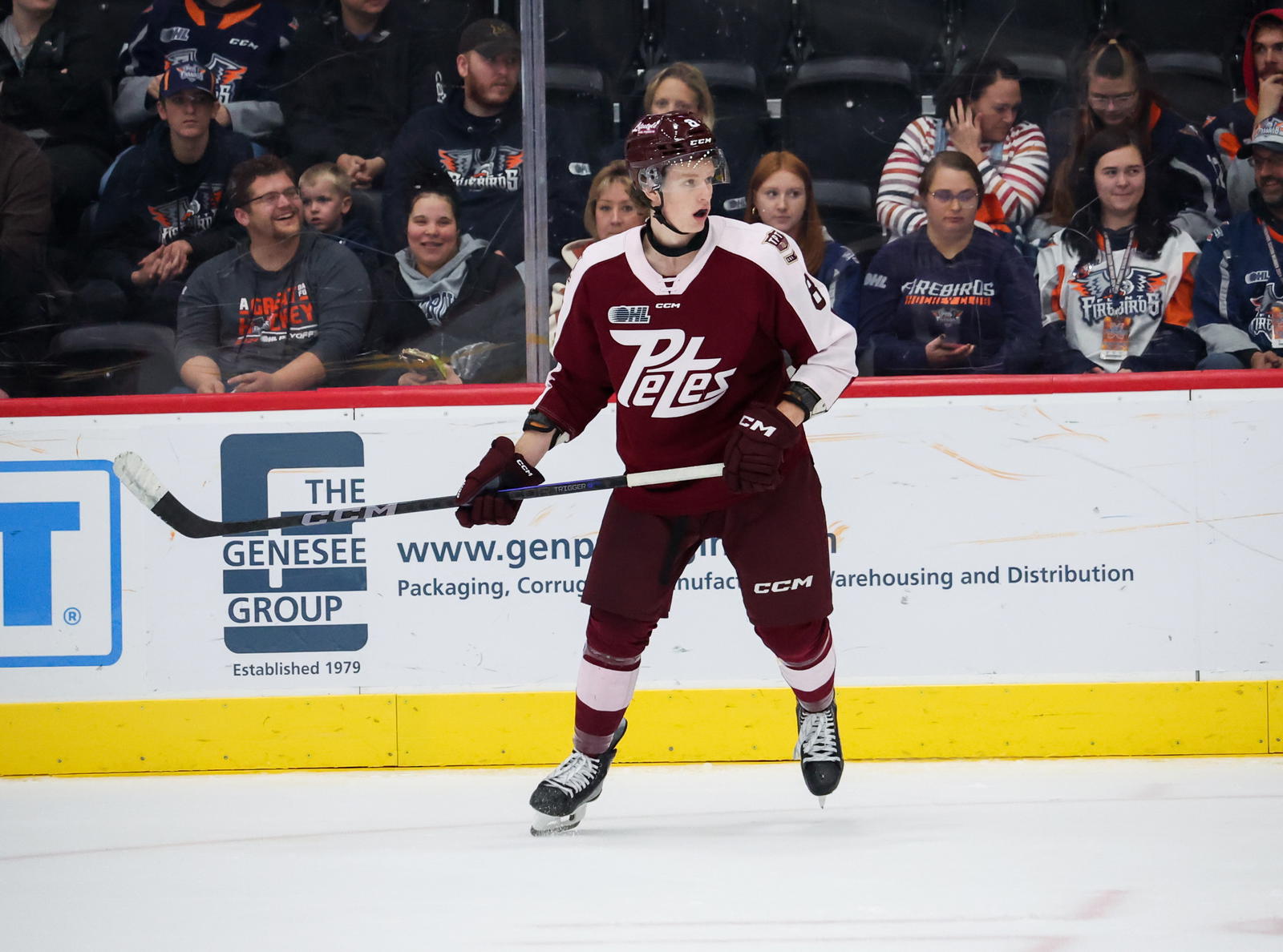<i>Now former Peterborough Petes defenseman Liam Ladds. Photo credit: Natalie Shaver/OHL Images</i>
