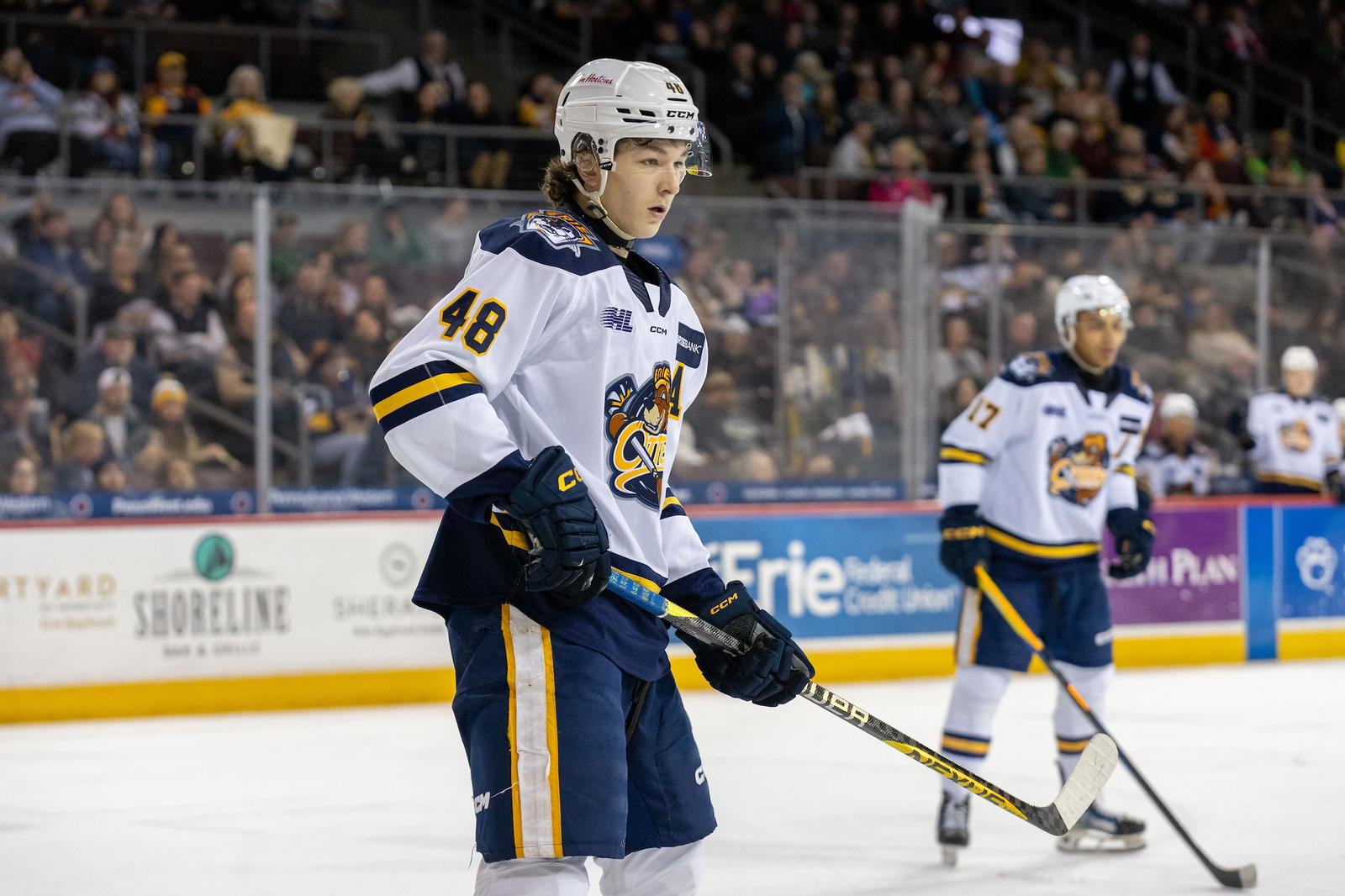 Matthew Schaefer (Brandon Soto / OHL Images)