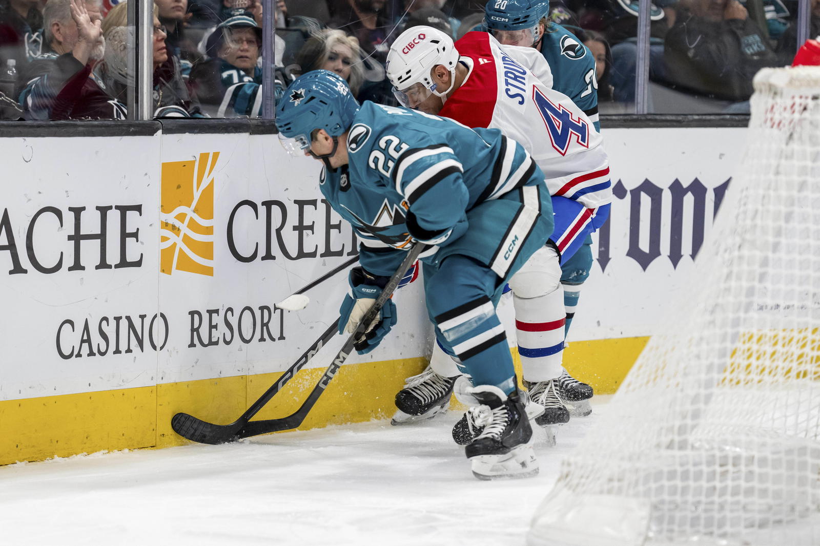 Poturalski, Gushchin Want NHL Shot Next Season, May Not Be With Sharks