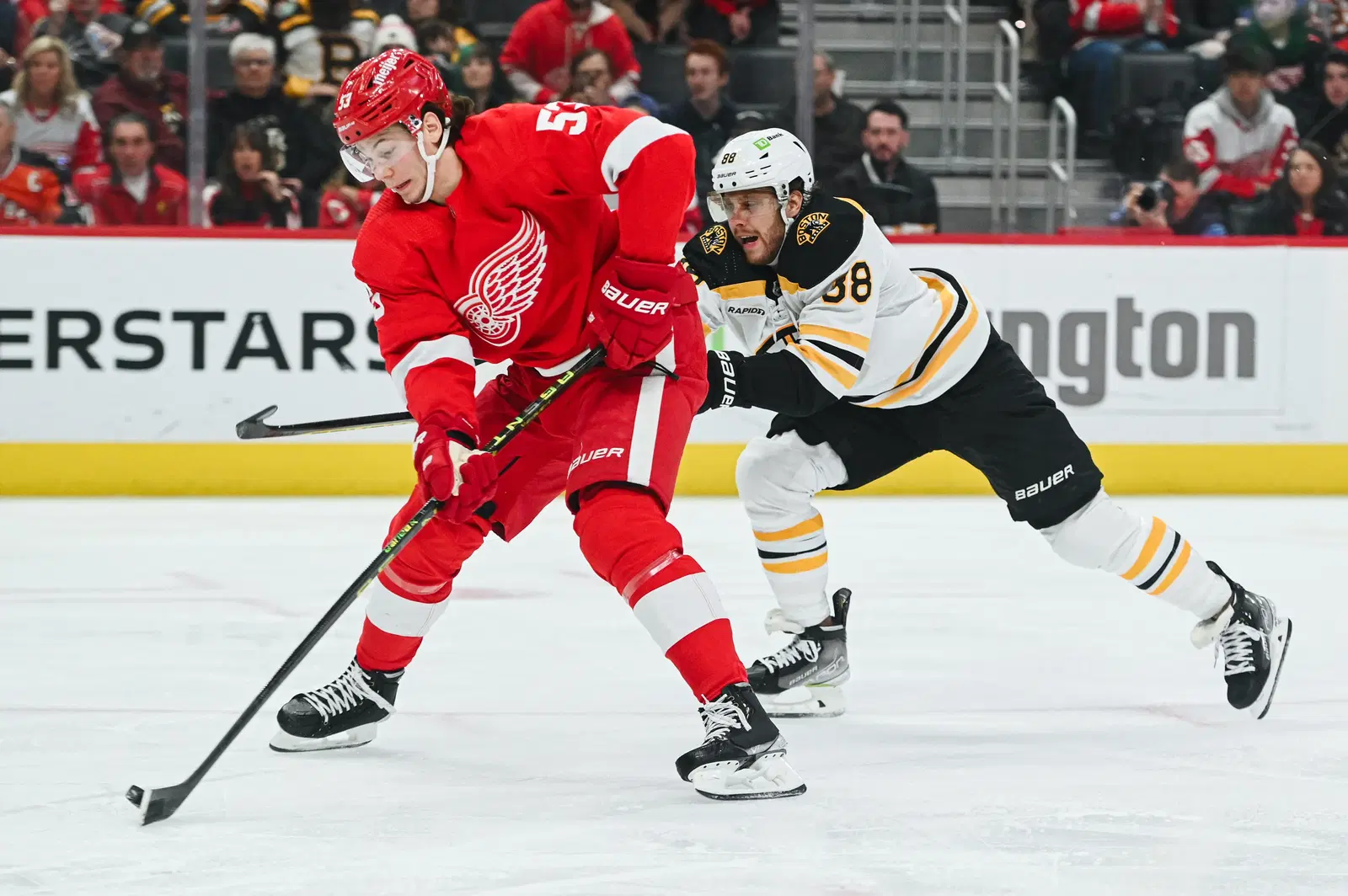 Divisional Focus: Red Wings Look to Ice the Bruins’ Rebuild cover image