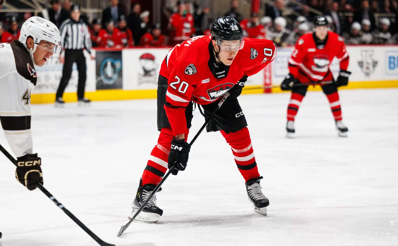 Charlotte Checkers forward Jesse Puljujarvi lines up for a faceoff in a game against the Hershey Bears on Feb. 23 at the Bojangles Coliseum in Charlotte, North Carolina. (Charlotte Checkers)
