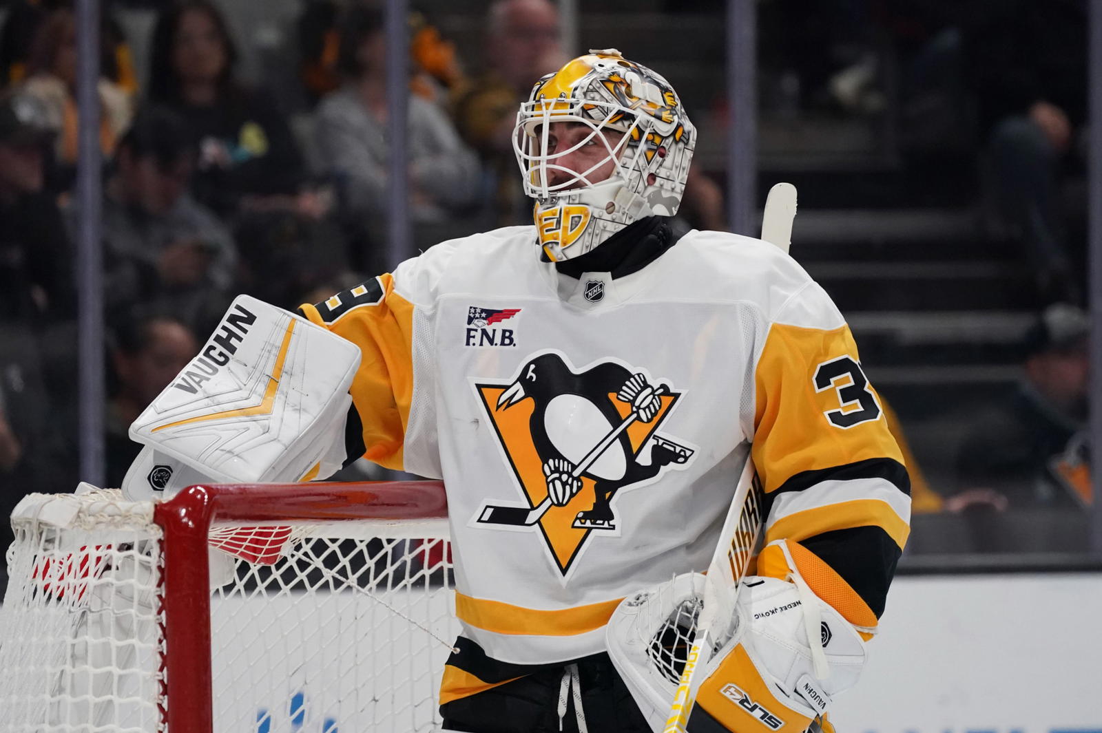 Jan 27, 2025; San Jose, California, USA; Pittsburgh Penguins goalie Alex Nedeljkovic (39) waits for play to resume during the second period against the San Jose Sharks at SAP Center at San Jose. (David Gonzales-Imagn Images)