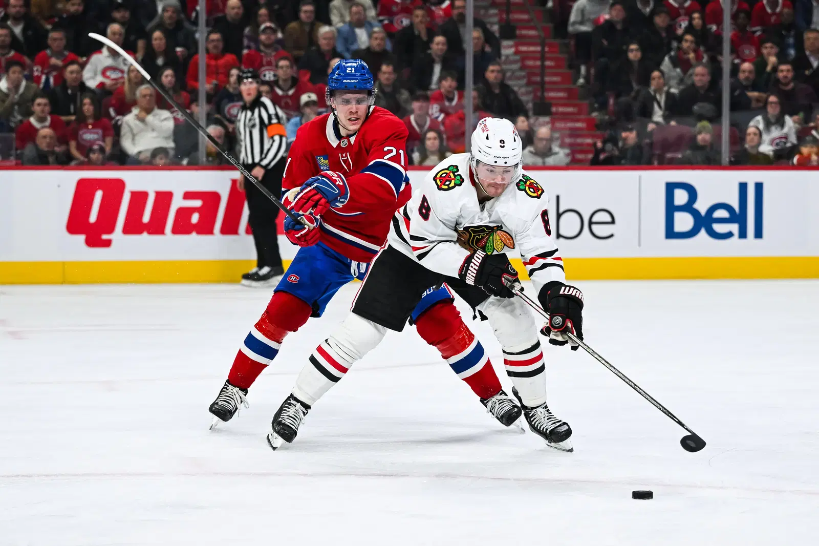 NHL News