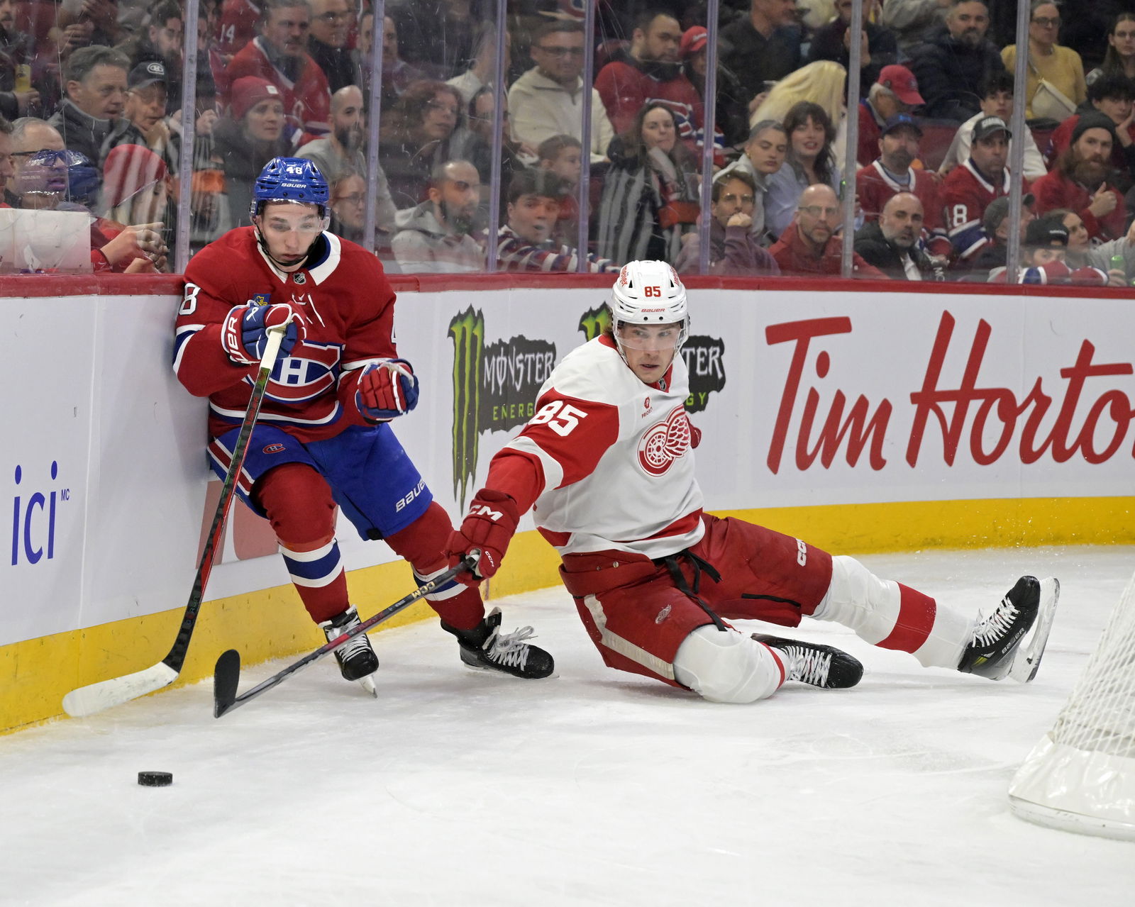 Canadiens: The Grades Are In – Lane Hutson